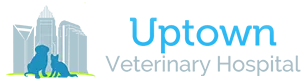 Uptown Veterinary Hospital Home